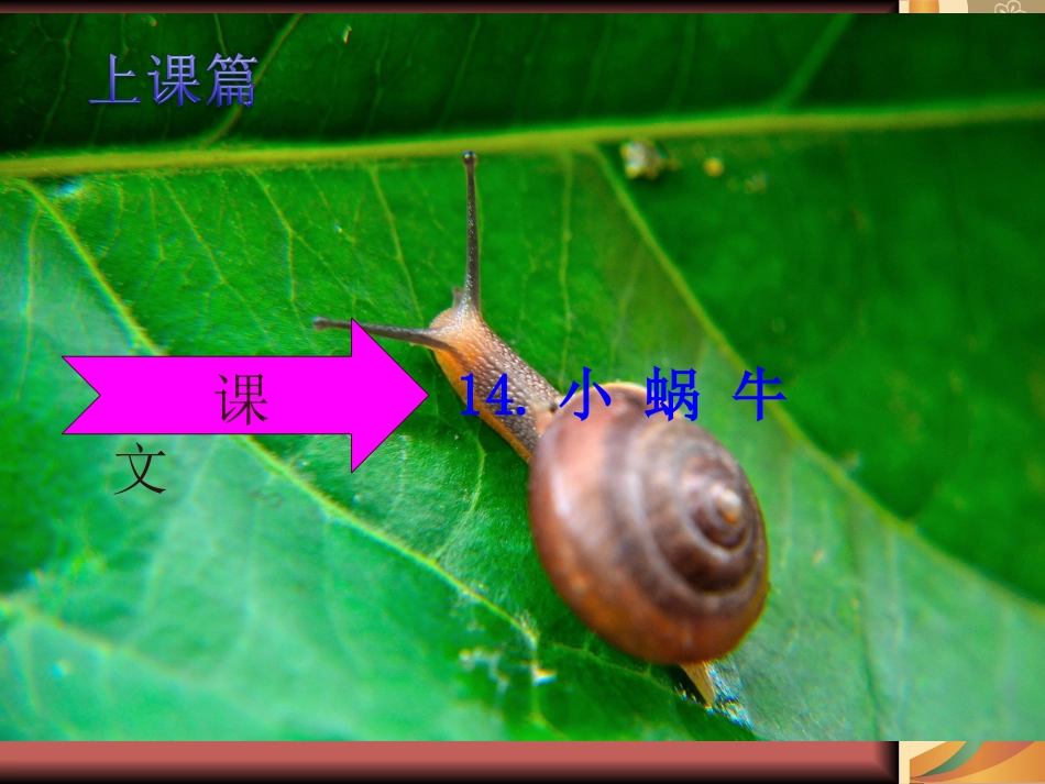 上课篇《小蜗牛》_第1页