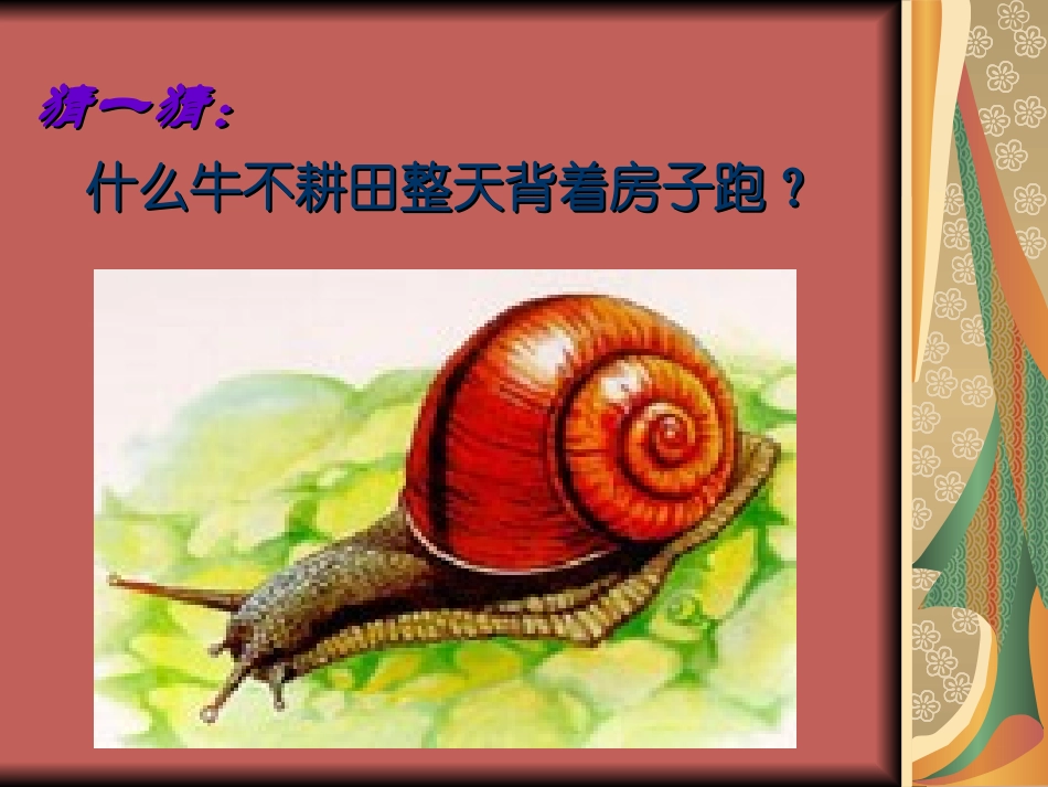 上课篇《小蜗牛》_第2页