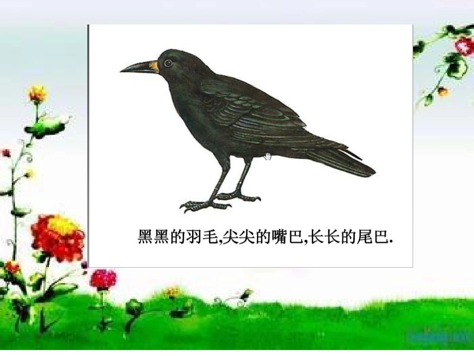 一年级下语文课件-乌鸦喝水-苏教版_第2页