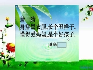一年级下语文课件-乌鸦喝水-苏教版