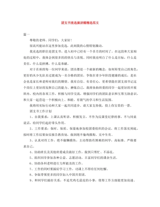 团支书竞选演讲稿精选范文 