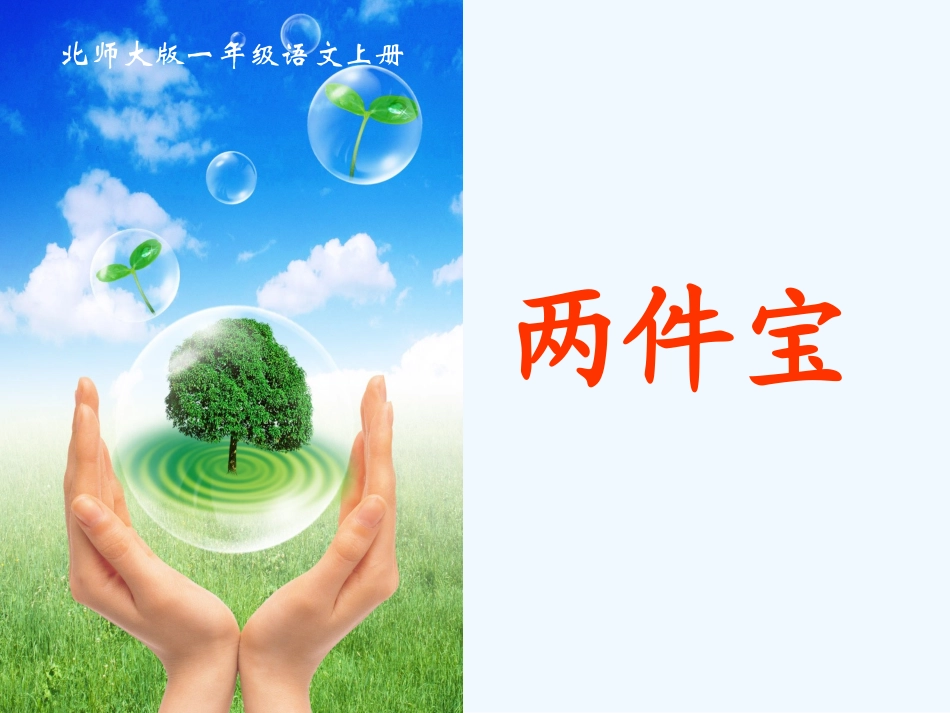 一年级语文上册 两件宝课件 北师大版_第2页