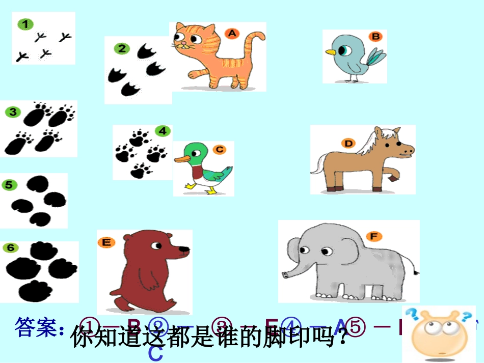 奇妙的脚印及教案~D3401_第3页