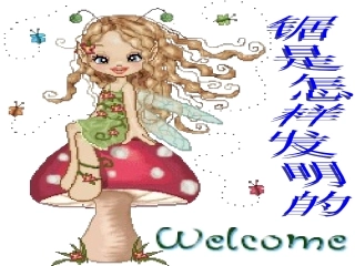 据是怎样发明的