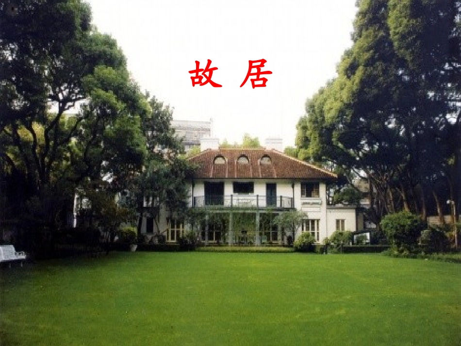 樟树第一课时_第3页