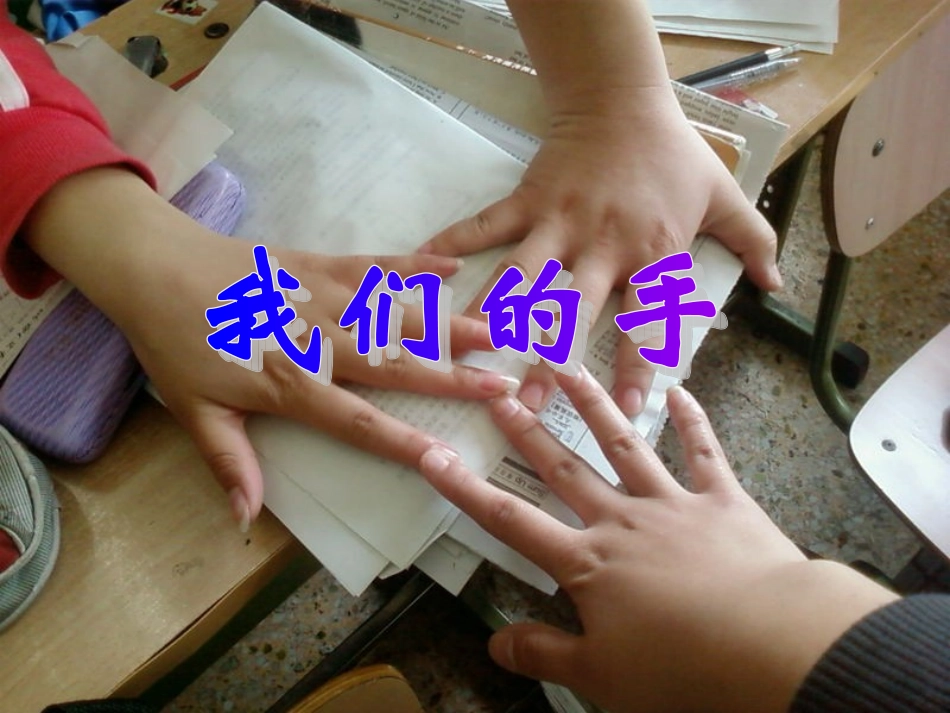 课件我们的手3_第1页