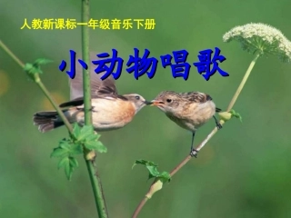 新课标人教版一年级音乐下册《小动物唱歌》课件