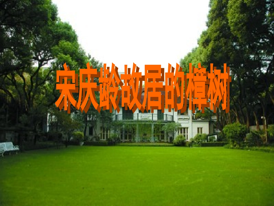 宋庆龄故居的樟树_第1页