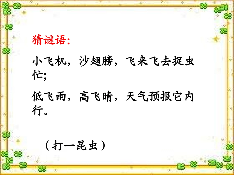 三年级下册《放飞蜻蜓》PPT课件1_第1页