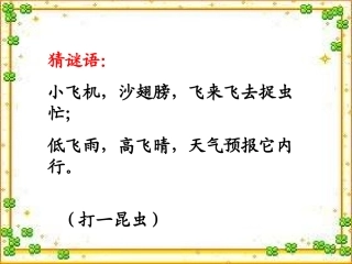三年级下册《放飞蜻蜓》PPT课件1