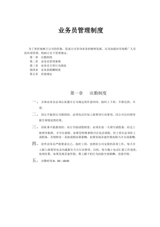 业务员管理制度-自己做的