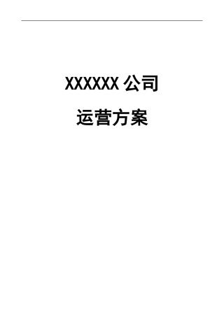 新公司运营计划书