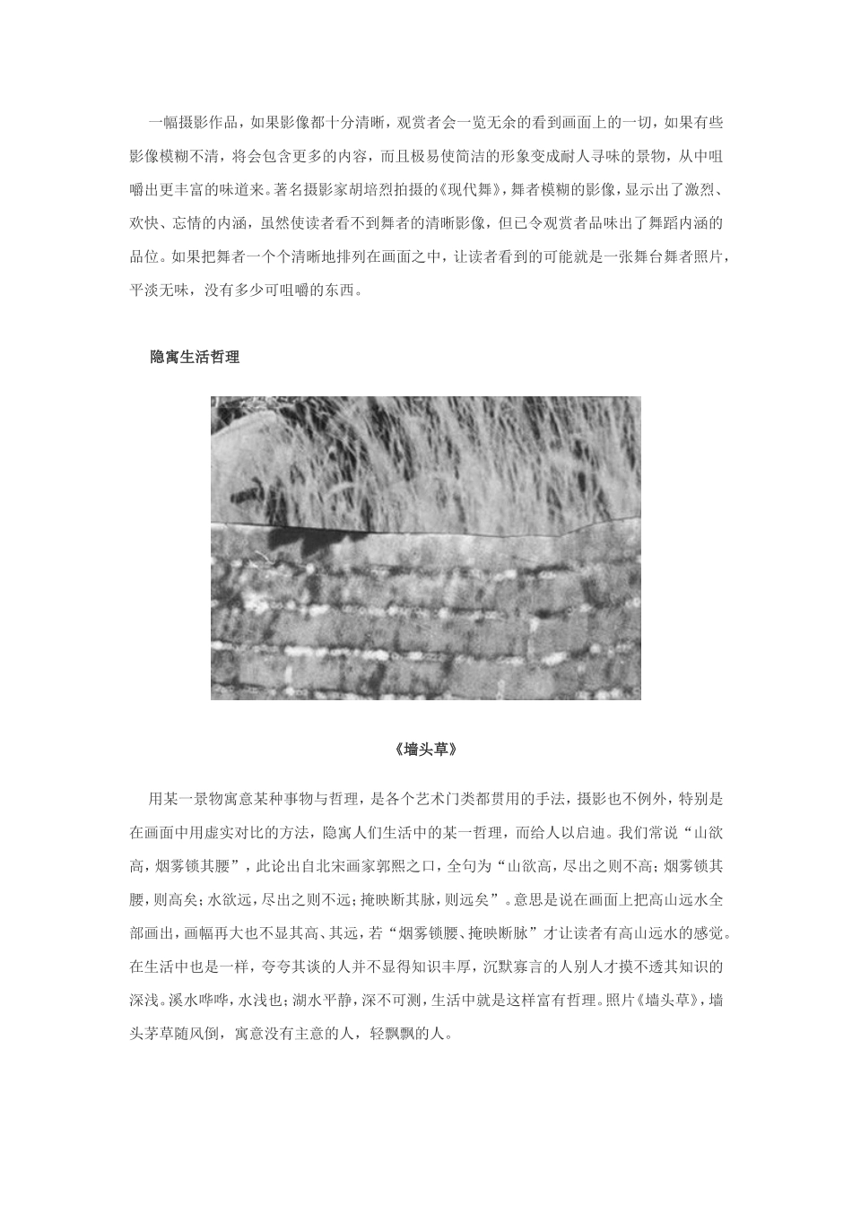 欣赏大师作品-谈模糊摄影的艺术表现力_第3页