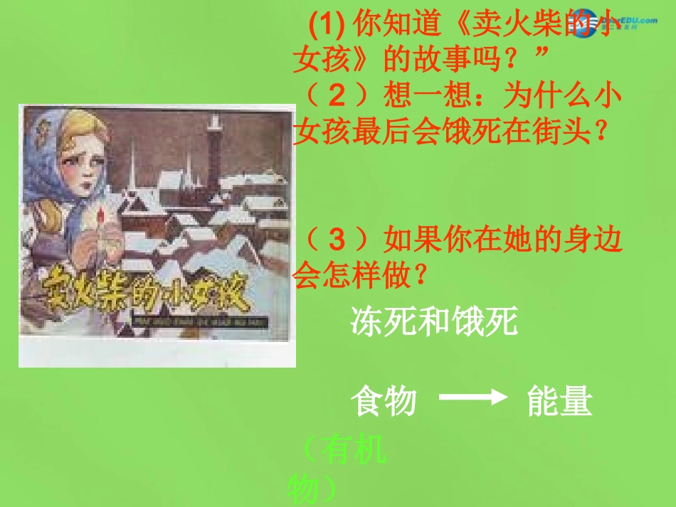 能量的释放和利用 (2)_第1页