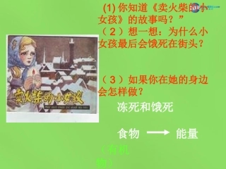 能量的释放和利用 (2)