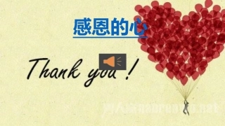 主题班会《感恩的心》