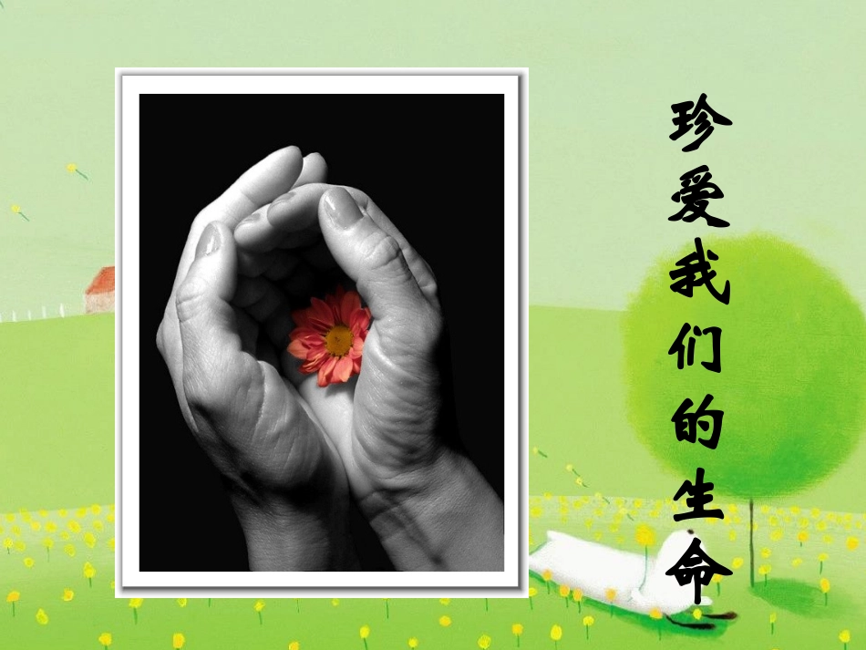 珍爱我们的生命_第2页