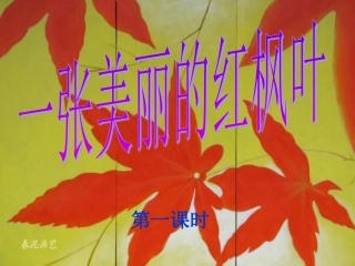 一张美丽的红枫叶 (3)