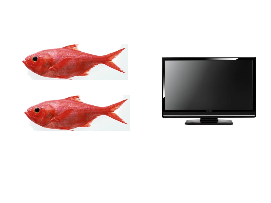 有趣的翻量词_第3页