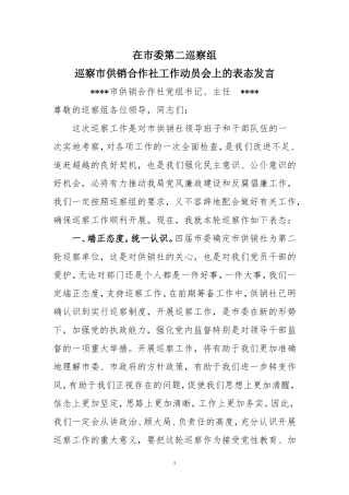 在市纪委巡察动员会上的表态发言