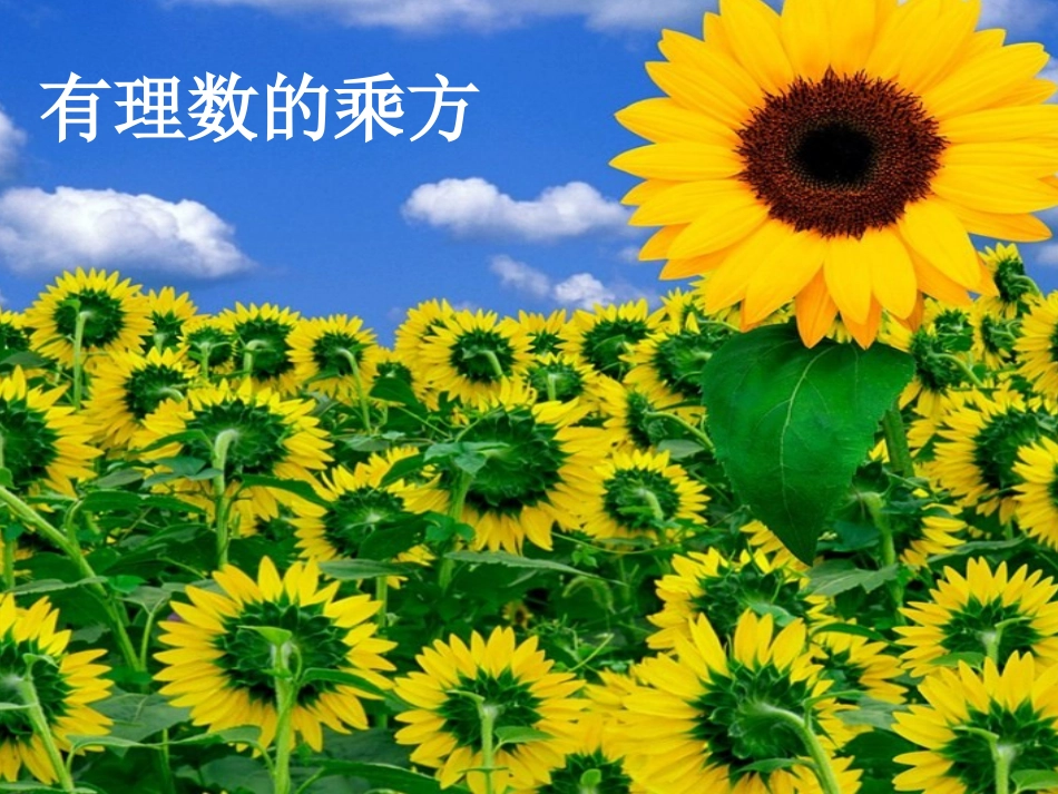 七年级数学有理数的乘方课件2_第1页