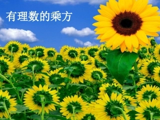 七年级数学有理数的乘方课件2