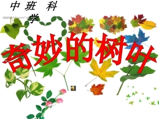 中班科学课件奇妙的树叶