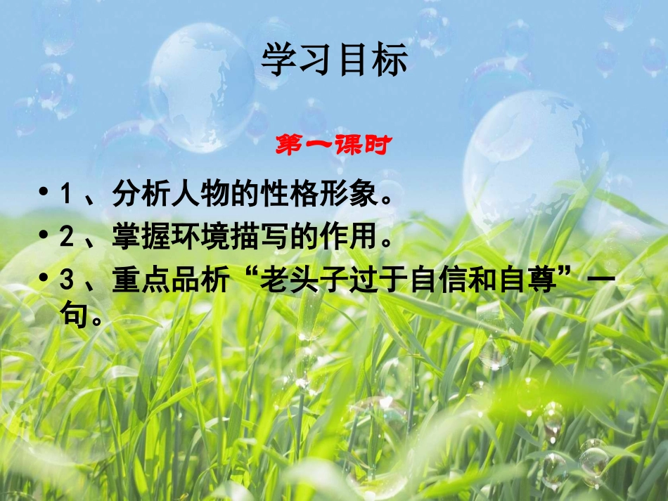 芦花荡（全）_第2页