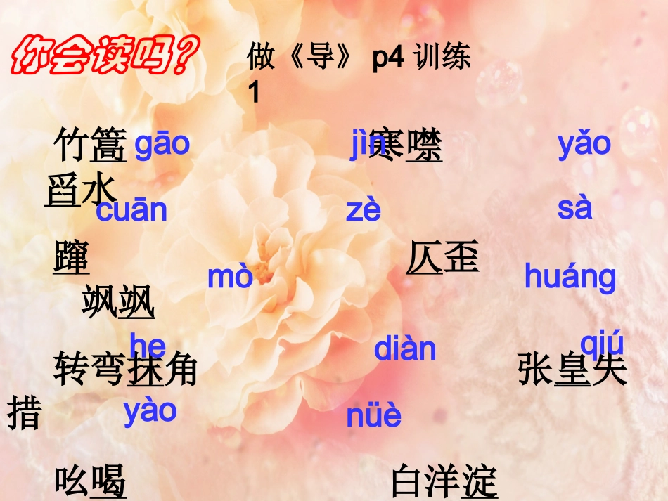 芦花荡（全）_第3页