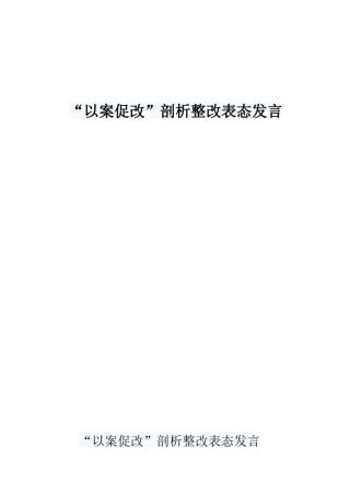 以案促改剖析整改表态发言