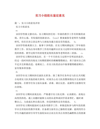 实习小组组长鉴定意见 