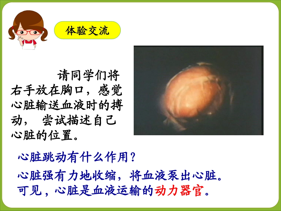 输送血液的泵-心脏(第1课时）_第2页