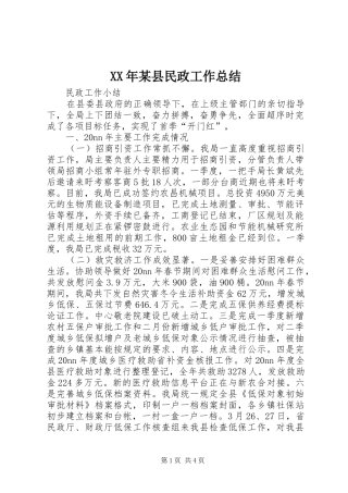 XX年某县民政工作总结