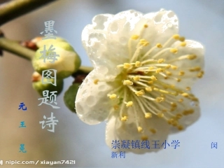墨梅图题诗课件