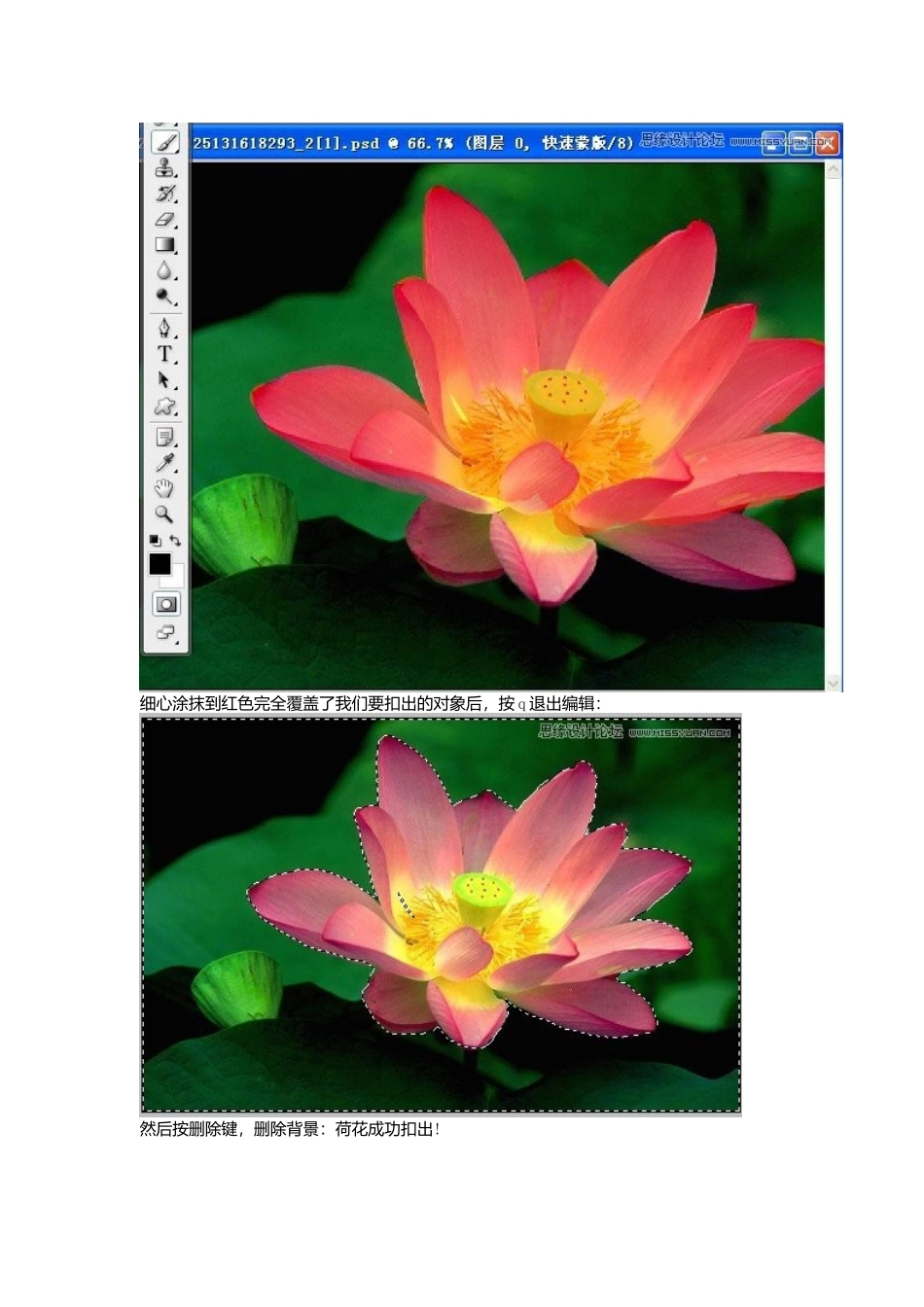 最全面的ps蒙版图文教程(收藏版)_第3页