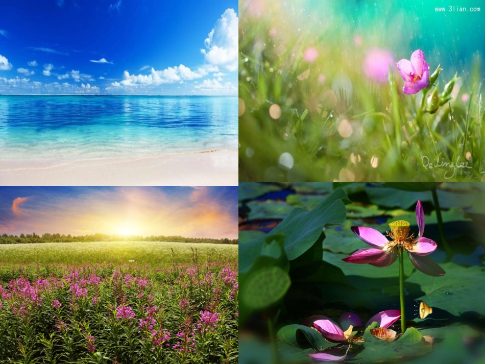 在夏天里成长 (4)_第1页