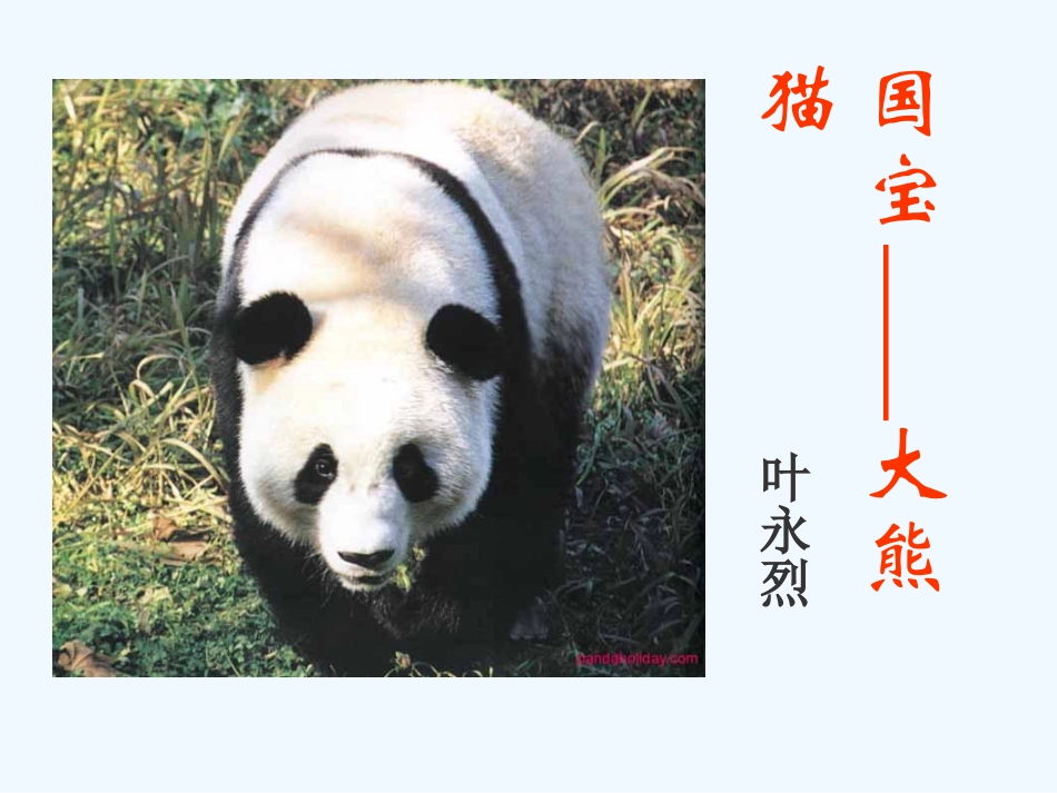 七年级语文下册《国宝大熊猫》优秀实用课件 苏教版_第1页