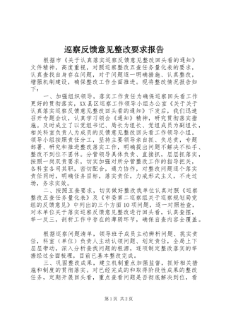 巡察反馈意见整改要求报告