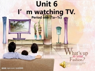 七年级下第六单元