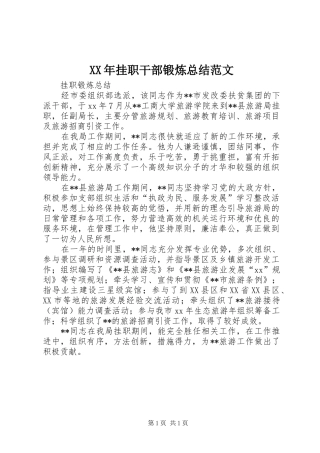 XX年挂职干部锻炼总结范文