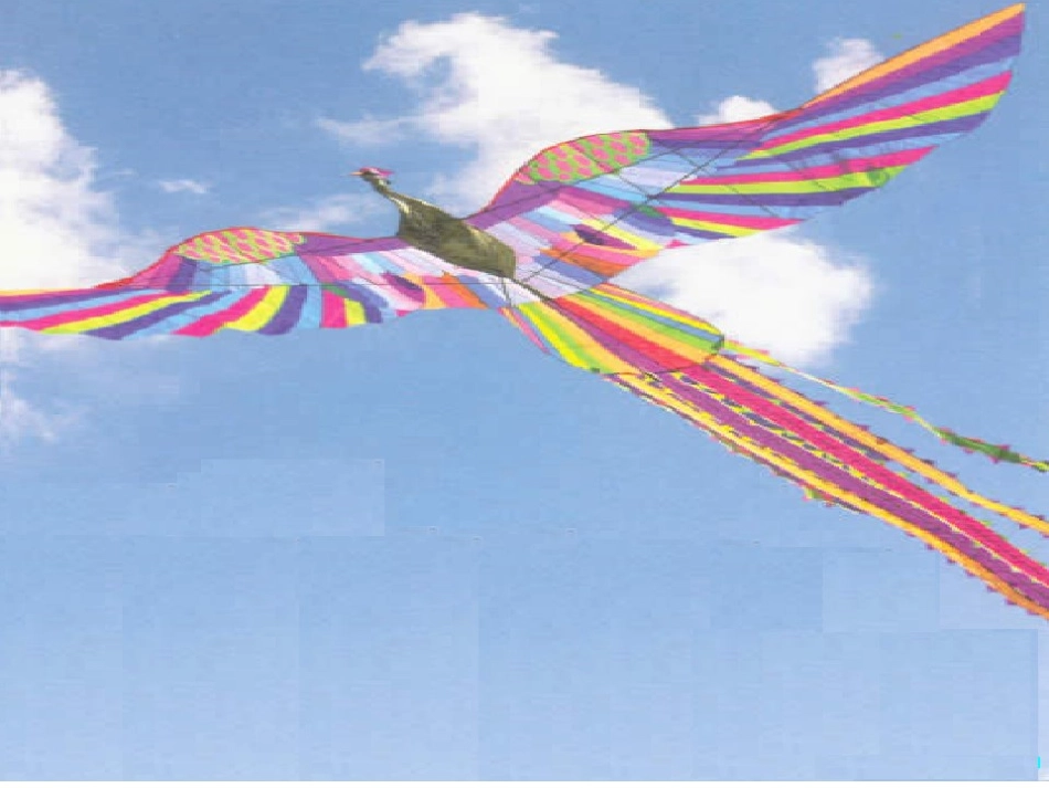 七年级语文上册 第一单元《风筝》课件 语文版_第3页