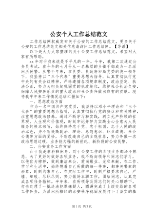 公安个人工作总结范文