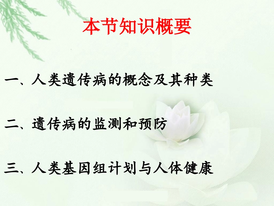 茹先古丽·哈地尔_第3页