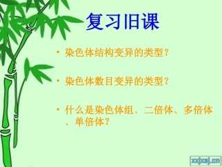 茹先古丽·哈地尔