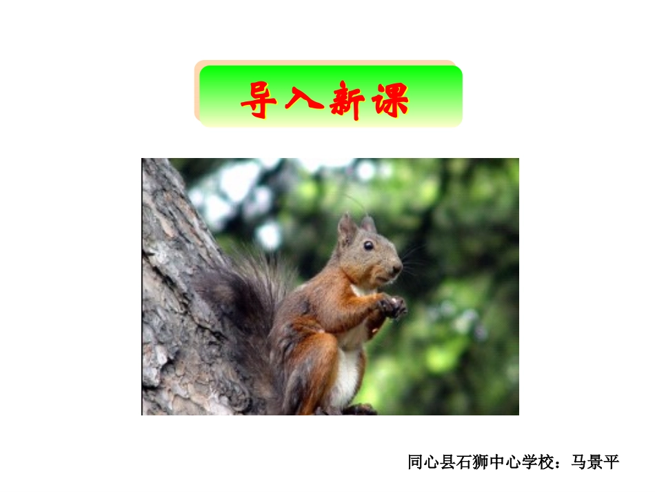 一年级上册语文——16小松鼠找花生_第1页
