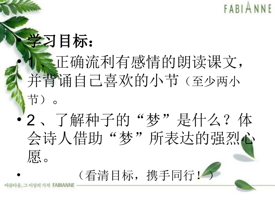 种子的梦课件_第3页