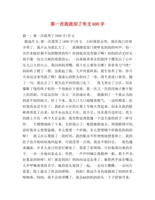 那一次我流泪了作文600字 