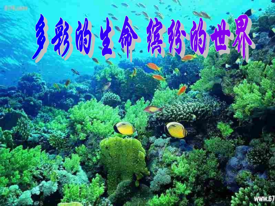 世界因生命而精彩_第3页
