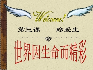世界因生命而精彩