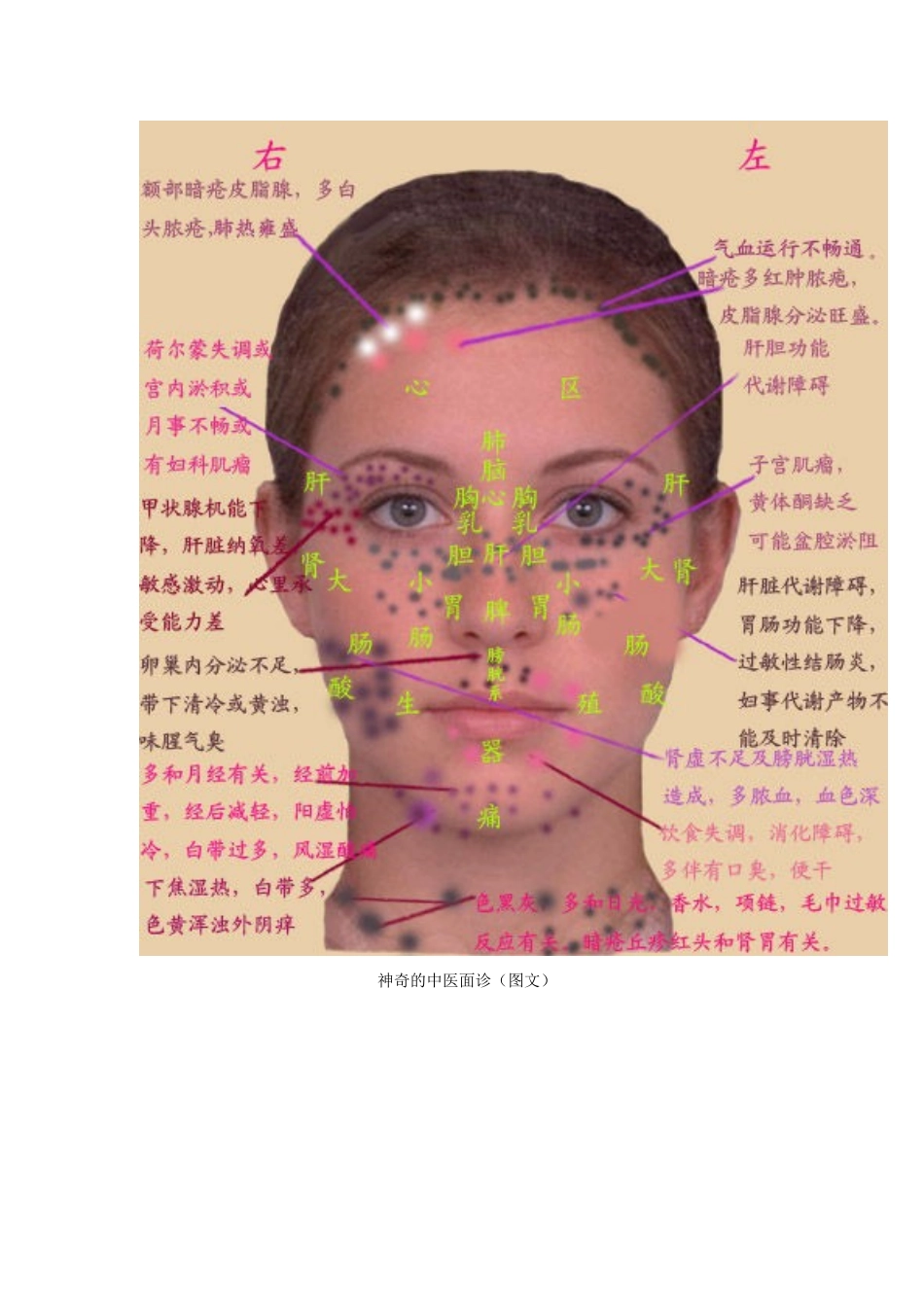 神奇的中医面诊(图文)_第2页